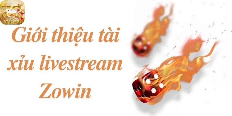 Giới thiệu tài xỉu livestream Zowin